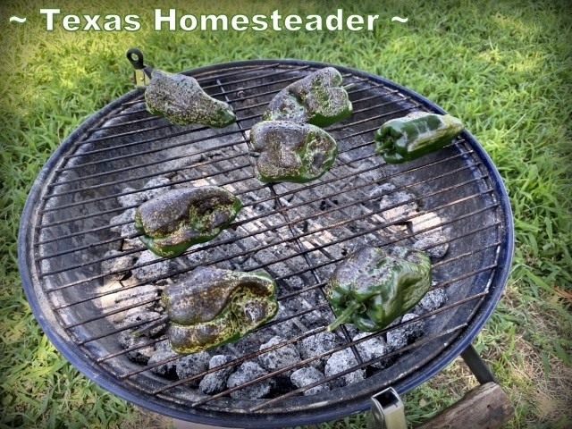 Roasting poblano peppers on a bbq grill #TexasHomesteader