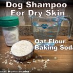 Homemade dog shampoo for dogs with dry itchy skin. #TexasHomesteader