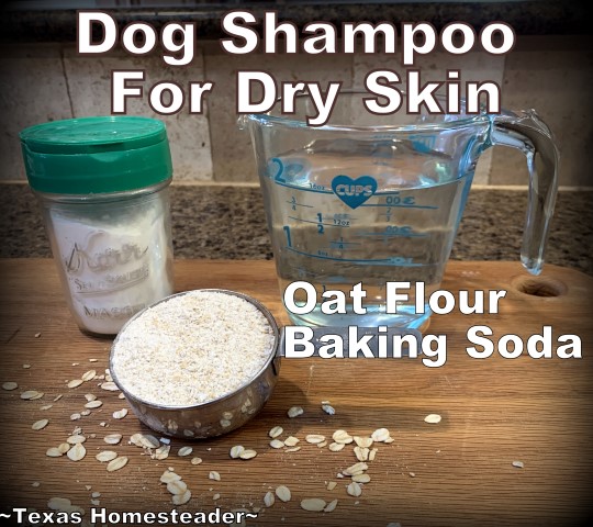 Diy dog shampoo store for dry skin