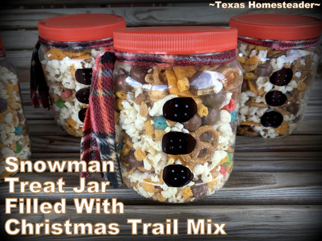 Homemade treat jar made with large empty jar painted to look like a snowman and filled with Christmas trail mix. #TexasHomesteader