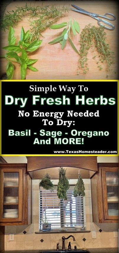 Herb drying doesn't need to take any energy or special appliances. Come see my herb-drying setup. #TexasHomesteader