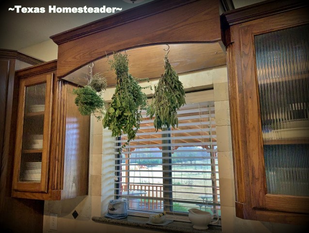 Fresh herb drying station takes no energy to preserve herbs. #TexasHomesteader