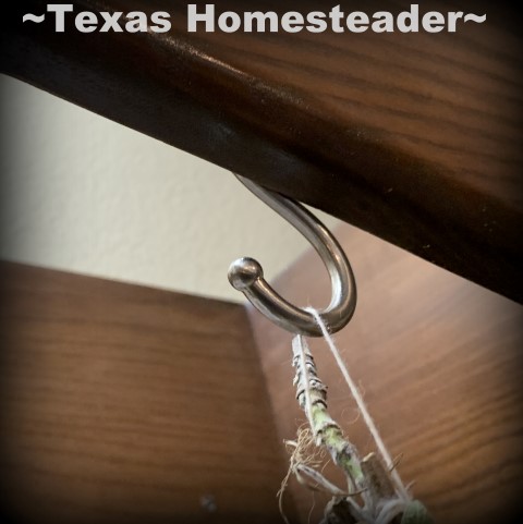 I'm sharing my herb-drying setup. I harvest fresh herbs and hang them over decorative hooks in my kitchen. #TexasHomesteader