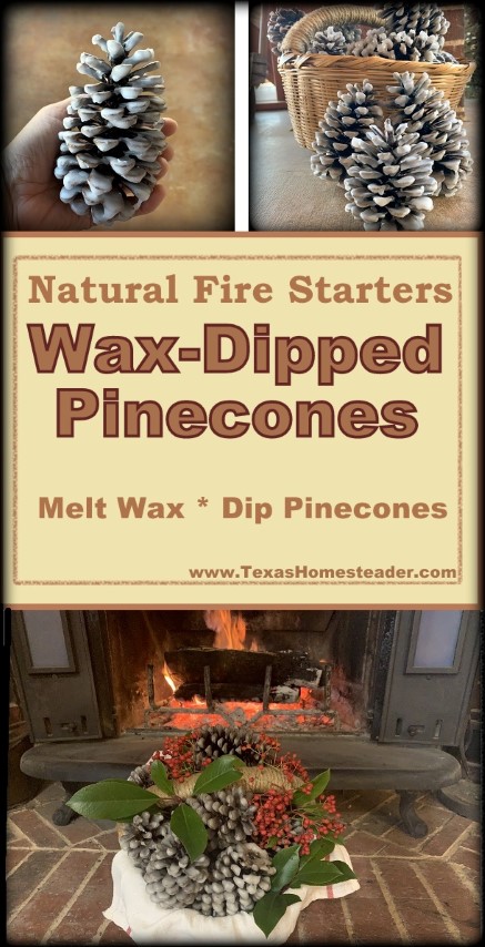 Waxed Pinecone fire starters made by dipping pinecones in wax #TexasHomesteader