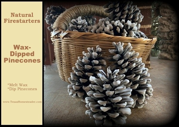 Homemade Christmas Gift Ideas - wax-dipped pinecones for starting fires. Here's a list of homemade Christmas gift ideas. Don't wait - get started NOW for a homemade Christmas you and your family will LOVE! #TexasHomesteader