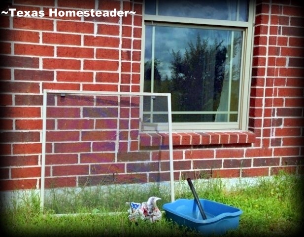 It's easy to clean my windows to a streak-free shine. First I remove the screens and clean them. #TexasHomesteader