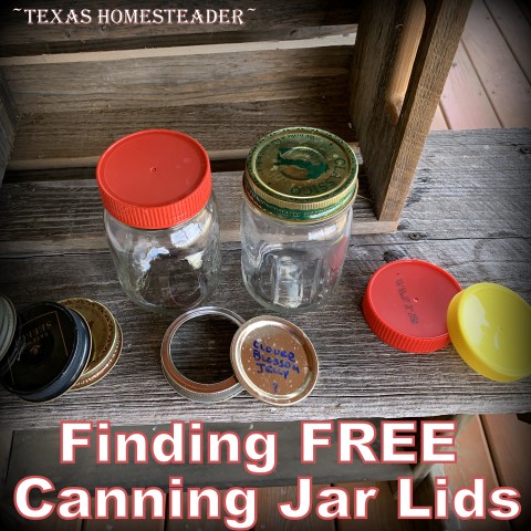 I've found many places to get lids that fit regular-mouth mason jars for FREE! #TexasHomesteader