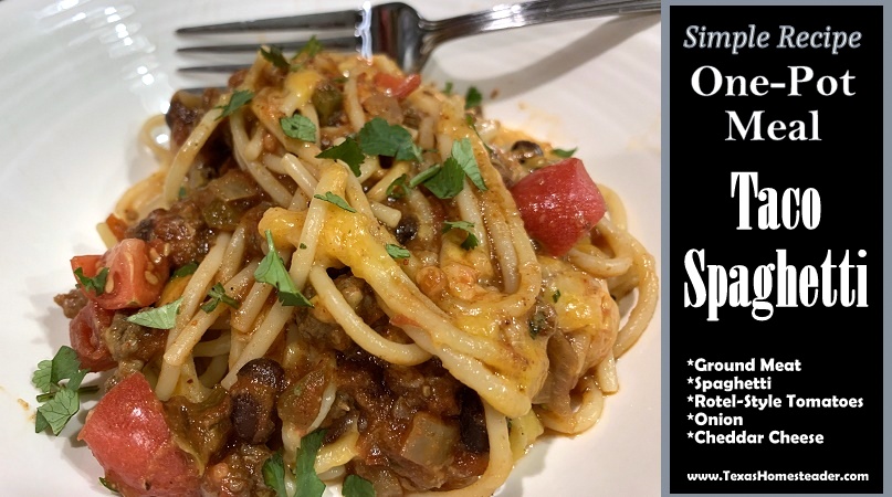 https://texashomesteader.com/wp-content/uploads/2021/03/Taco-Spaghetti-One-Pot-Meal-serving-with-chopped-cilantro-diced-tomatoes-in-white-bowl-with-fork-TexasHomesteader.jpg