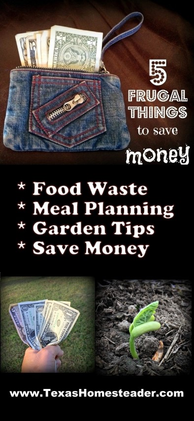 5 Frugal Things we did this week to save money. Food waste, meal planning, garden tips, coupons, decluttering and more! Come see some helpful tips. #TexasHomesteader