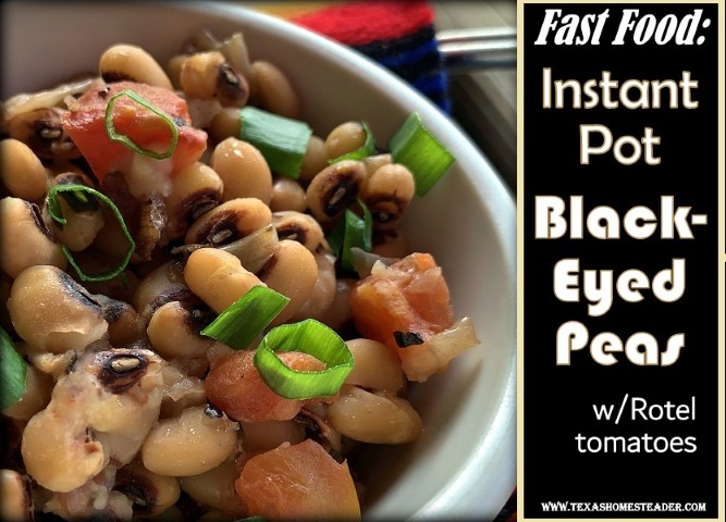 The Instant Pot makes quick work of cooking dry Black-Eyed Peas. And this simple recipe has an added spicy kick from Rotel-style tomatoes. #TexasHomesteader