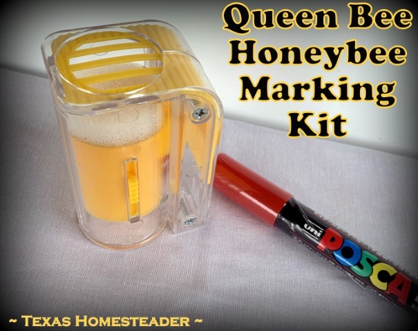 Queen bee honeybee one-handed queen marking cage with red marker pen. #TexasHomesteader