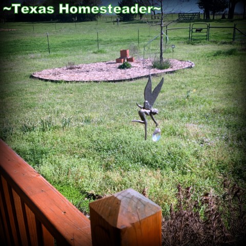 5 Frugal things - swinging figurine scares away birds. #TexasHomesteader