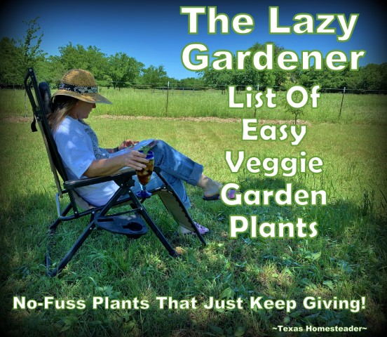 A list of easy plant & forget vegetable garden plants that feed you every year! #TexasHomesteader