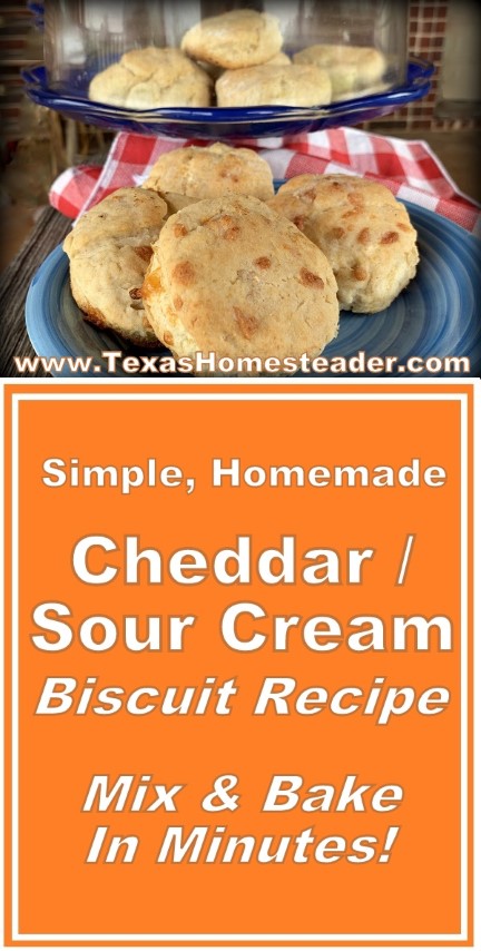 These homemade biscuits are made with sour cream and shredded cheddar cheese. Mix-n-bake easy! #TexasHomesteader