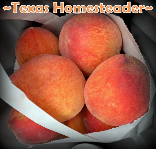 Fresh peaches in white paper bag. #TexasHomesteader