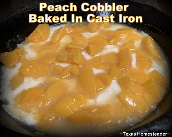 Canned peaches layered onto batter for peach cobbler baked in cast iron skillet. #TexasHomesteader