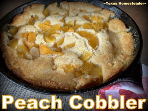 Cast iron skillet peach cobbler. In 12 inch cast iron skillet melt 1 stick  butter, add 4 - 15 oz cans peaches with s…