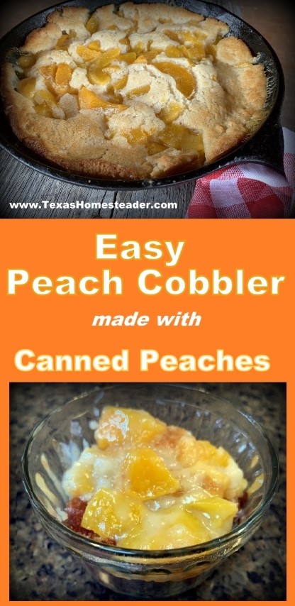 Peach cobbler made with fresh or canned peaches baked in cast iron skillet. #TexasHomesteader