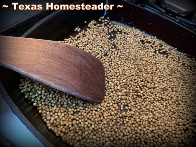 Coriander seeds being lightly roasted in dry cast iron skillet. #TexasHomesteader