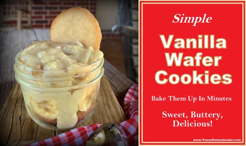 This vanilla wafer cookie recipe is simple and the cookies bake up fast. They're lightly crisp and slightly chewy, and very buttery! #TexasHomesteader
