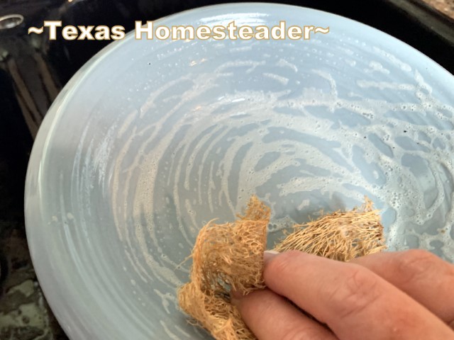 Luffa Loofah Gourd biodegradable compostable plastic-free scrub cleaning luffa sponge - cleaning dishes with soap. #TexasHomesteader