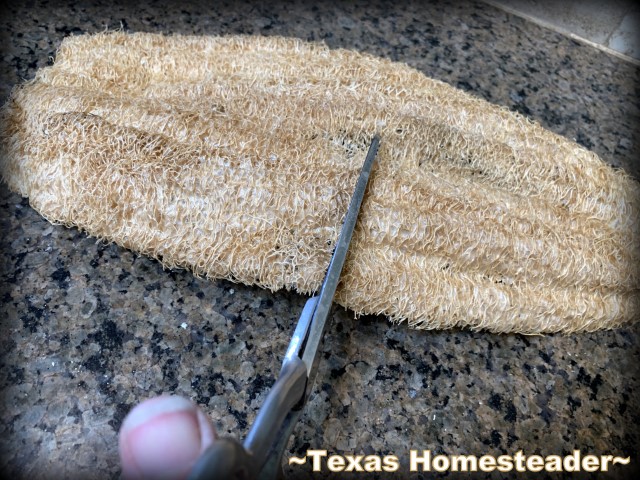 Luffa Loofah Gourd biodegradable compostable plastic-free scrub cleaning sponge - cutting sponge in half with scissors. #TexasHomesteader