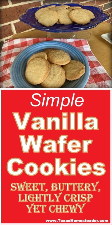 This vanilla wafer cookie recipe is simple and the cookies bake up fast. They're lightly crisp and slightly chewy, and very buttery! #TexasHomesteader