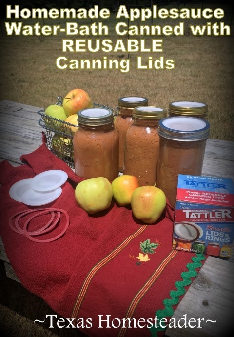 Apples canned using reusable canning lids is a delicious, healthy and low-waste treat. #TexasHomesteader