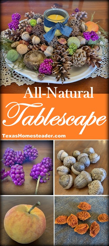 Natural Tablescape using Nature's beauty - acorns, pinecones, beautyberry and more - #TexasHomesteader