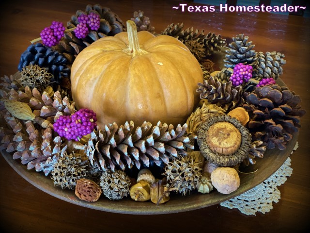 Fall tablescape with small pumpkin, pinecones, acorns, beautyberry, etc. #TexasHomesteader