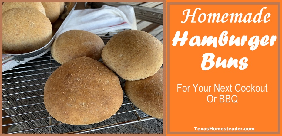 Homemade Hamburger buns are simple to make. And who doesn't love homemade bread??! #TexasHomesteader