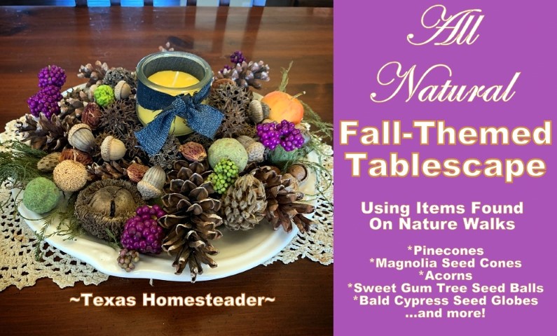 All-Natural Tablescape using nature's beauty found on nature hikes. #TexasHomesteader