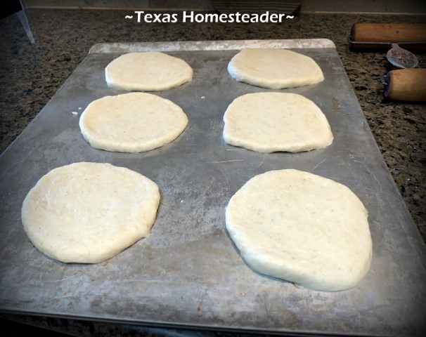 Hamburger bun dough pressed into buns and placed on greased cookie sheet. #TexasHomesteader