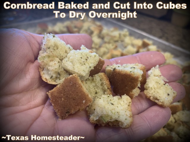 Cornbread baked, cubed and dried in preparation for making old fashioned southern cornbread dressing stuffing. #TexasHomesteader
