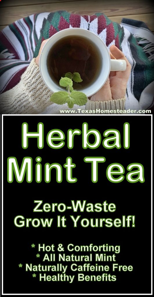 Herbal mint tea is all natural and caffeine free. #TexasHomesteader