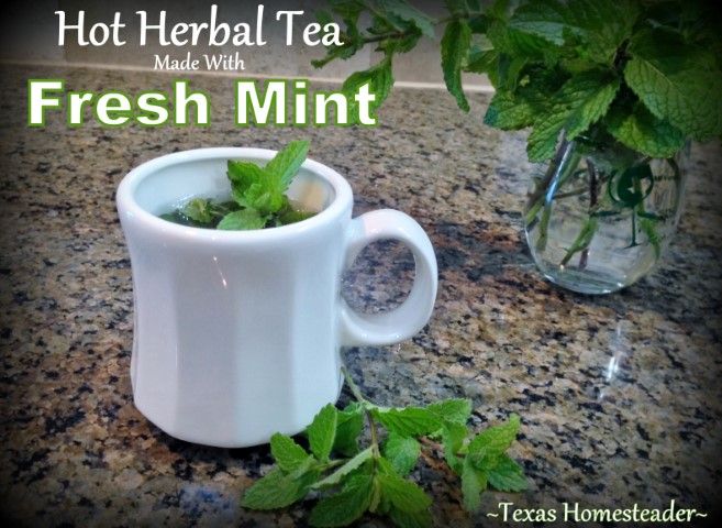 Herbal spearmint tea made with fresh mint leaves in vintage white mug #TexasHomesteader