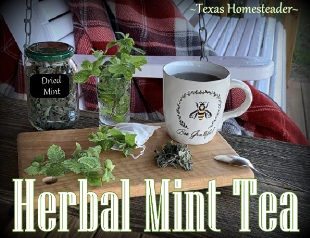 All natural herbal mint tea has no caffeine. #TexasHomesteader