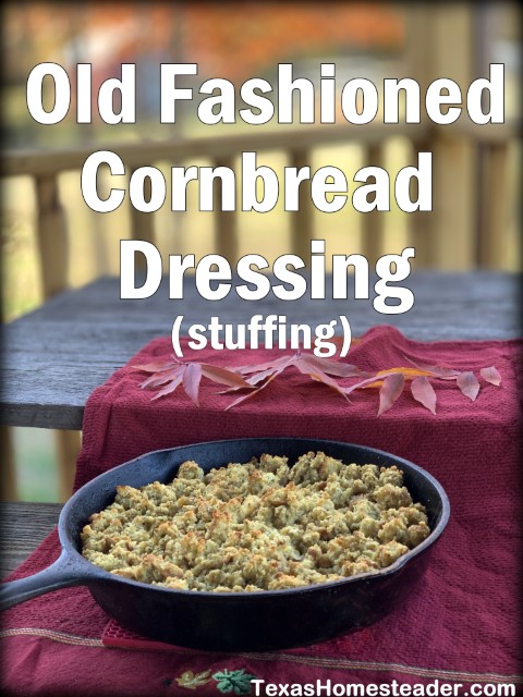 Old Fashioned Southern Cornbread dressing stuffing in cast iron skillet with autumn themed towel. #TexasHomesteader