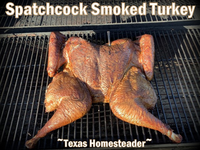Spatchcock smoked turkey with pecan wood smoke on smoker. #TexasHomesteader