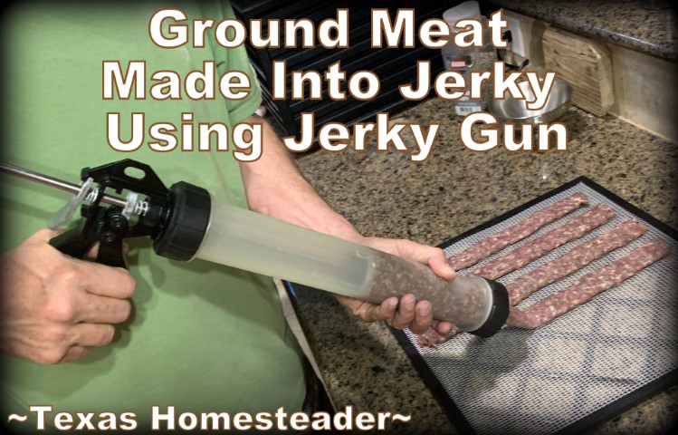 Jerky gun transfers prepared ground meat onto dehydrator trays to dehydrate into homemade jerky. #TexasHomesteader