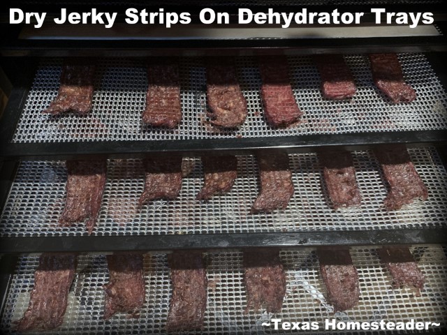 Homemade jerky strips dried on dehydrator trays - wild game jerky #TexasHomesteader