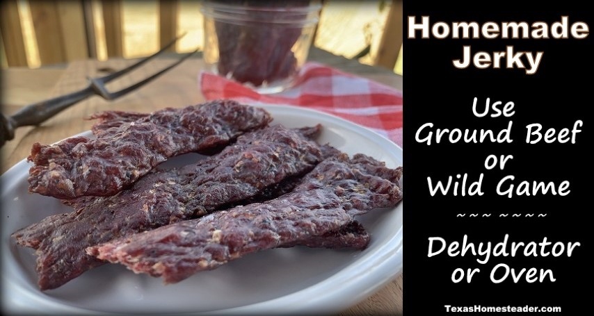 Homemade jerky made easy using ground beef or wild game meat #TexasHomesteader