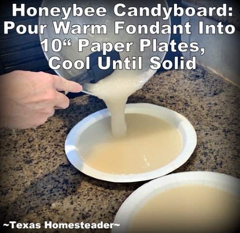 Candyboard for winter honeybee hive feeding - pour warm fondant into prepared paper plates #TexasHomesteader