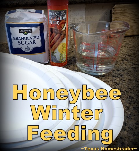 Candyboard, sugarboard, fondant, sugar, water, paper plates for winter honeybee hive feeding #TexasHomesteader