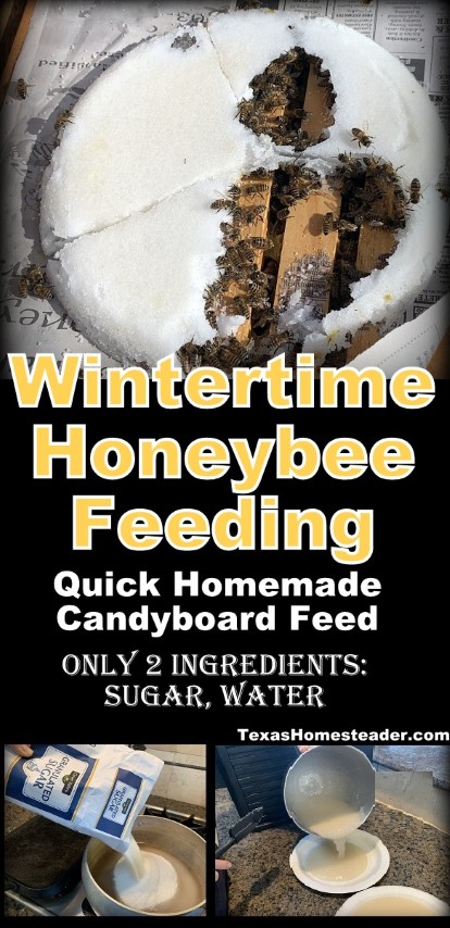 Winter feeding candyboard fondant sugar for honeybees #TexasHomesteader