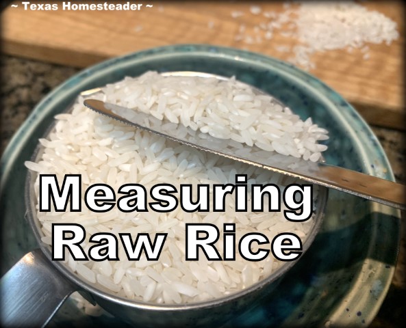 Measuring raw rice in measuring cup scrape away excess with butter knife edge. #TexasHomesteader