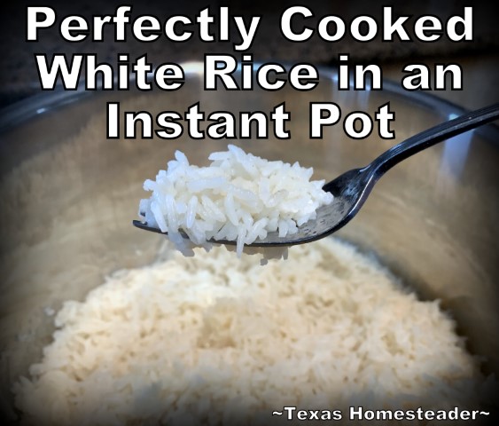 Perfectly Cooked white long-grain rice in an Instant Pot #TexasHomesteader