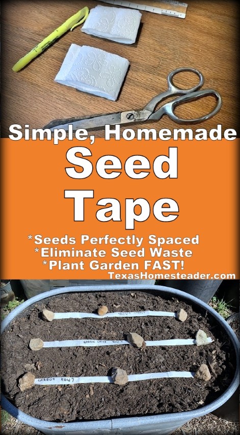 Easy Homemade Seed Tape for planting seeds in the garden. Perfect spacing, no seed loss. #TexasHomesteader