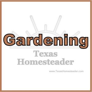 All our best posts on GARDENING. #TexasHomesteader