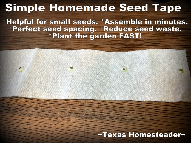 Homemade seed tape using bathroom tissue, homemade glue and seeds. Plant the garden fast. #TexasHomesteader